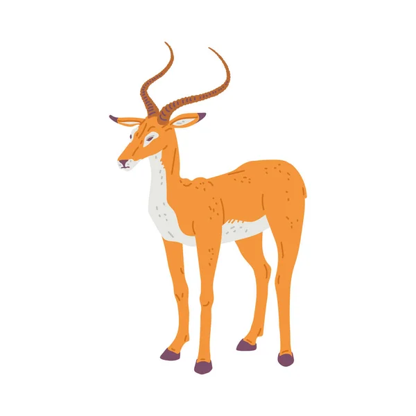 Afrikaanse Aziatische Antilope Hertenachtige Dier Platte Cartoon Vector Illustratie Geïsoleerd — Stockvector