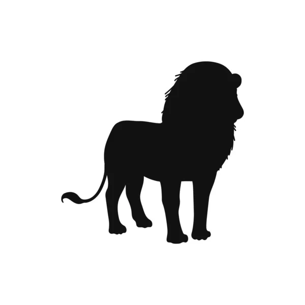 狮子黑色的轮廓矢量在白色背景上孤立 站在一旁观看非洲狮形图案 用于标志和标志设计 — 图库矢量图片
