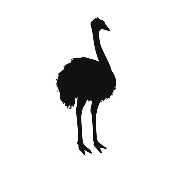 Черный Силуэт Страуса Плоский Стиль Птицы Векторная Иллюстрация Выделена Белом — стоковый вектор