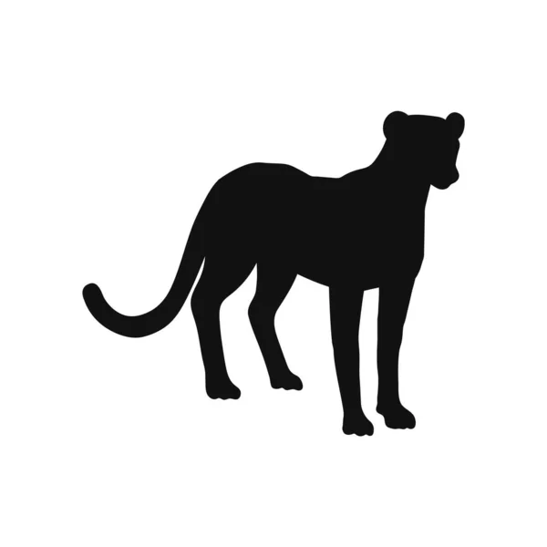 猎豹非洲掠食者野生动物黑色的轮廓或轮廓 在白色背景上孤立的病媒图解 非洲野生动物的猎豹代表 — 图库矢量图片