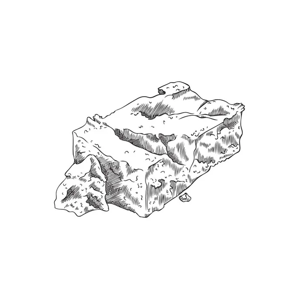 Queso Monocromo Dibujado Mano Estilo Boceto Albahaca Ilustración Vectorial Aislada — Archivo Imágenes Vectoriales