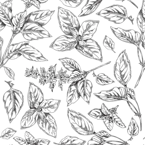 stock vector Seamless decorative pattern design with basil aromatic cooking plant leaves and twigs, sketch hand drawn vector illustration on white background. Engraving style pattern.