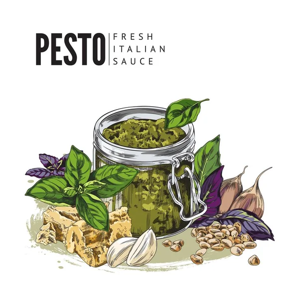 Hand Getrokken Kleurrijke Pesto Glazen Pot Schets Stijl Vector Illustratie — Stockvector