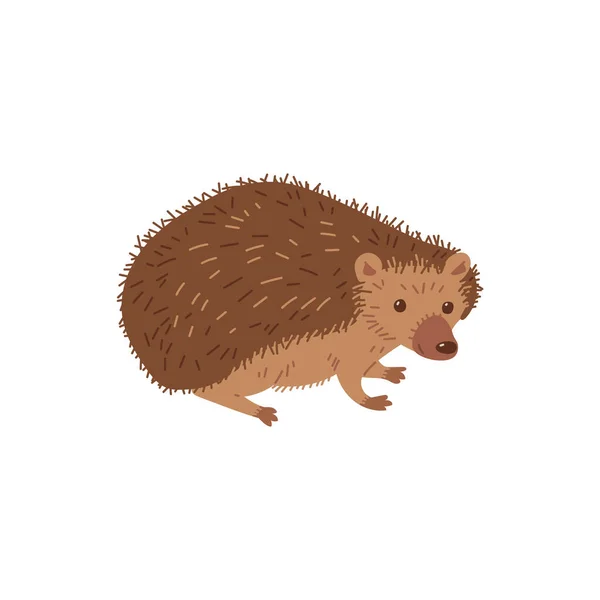 Hedgehog funny wild nature animal with spikes and spines, flat cartoon vector illustration isolated on white background. Hedgehog adorable forest animal.