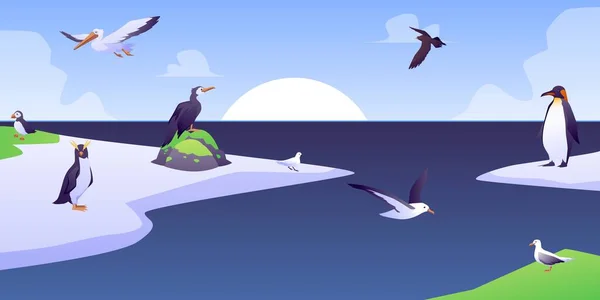 Various Sea Birds Arctic Ice Floe Flat Vector Illustration North — Vetor de Stock