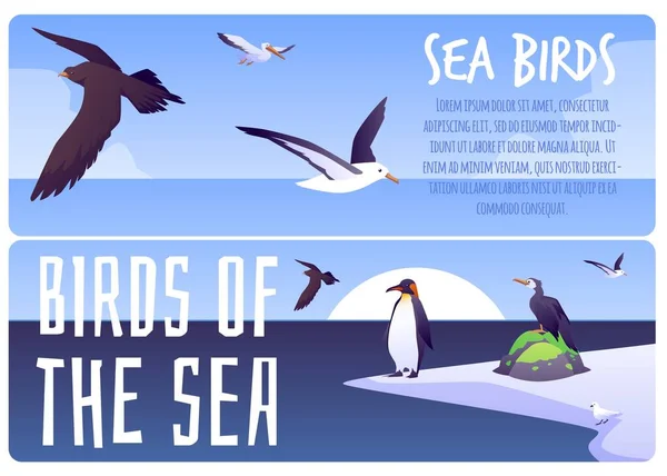 Набор Информационных Баннеров Морских Птиц Плоская Векторная Иллюстрация Пингвины Бакланы — стоковый вектор