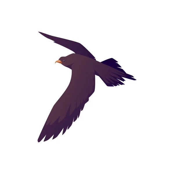 Arctic Skua Flying Seabird Flat Vector Illustration Isolated White Background — Vetor de Stock
