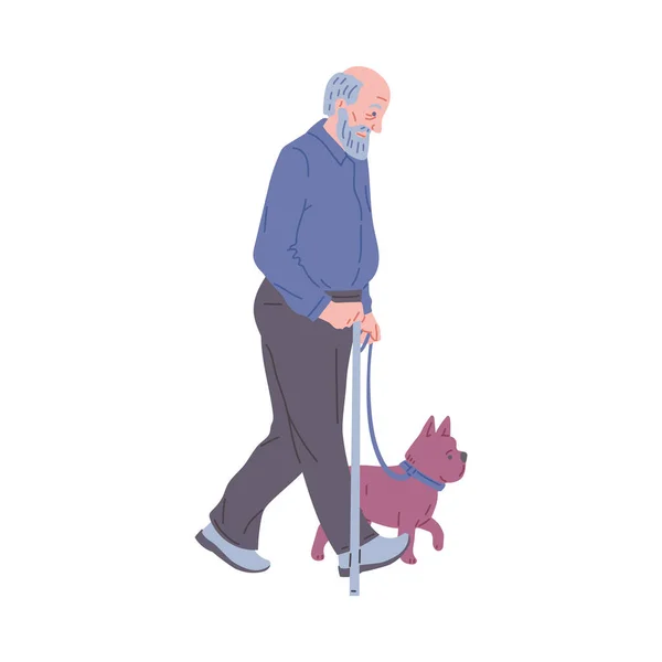 Senior Man Holding Walking Stick Walking His Dog Flat Vector — Vettoriale Stock