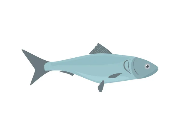 Świeża Ikona Makreli Połowów Morskich Delikatesów Płaska Ilustracja Wektorowa Odizolowana — Wektor stockowy