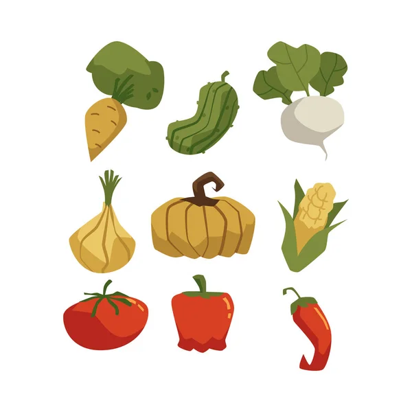 秋のカラフルな野菜のアイコンセット 白の背景に隔離されたフラット漫画のベクトルイラスト 有機野菜コレクションの新鮮な秋の収穫 — ストックベクタ