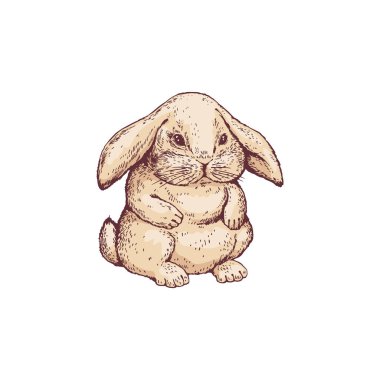 Tavşan ya da tavşan, beyaz arka planda izole edilmiş yerçekimi renginde vektör çizimi. Parmak izi ve dekor için klasik tarzda tavşan veya tavşan.
