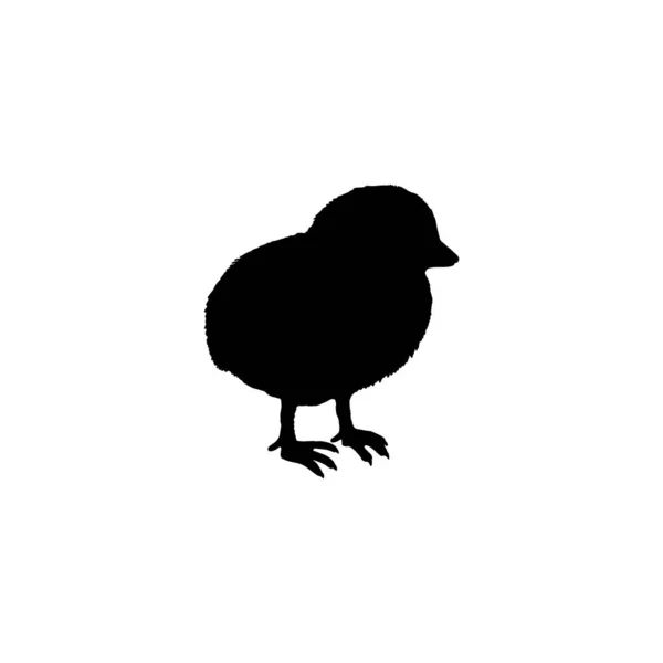 Чорний Силует Пташеня Або Гніздо Векторні Ілюстрації Ізольовані Білому Тлі — стоковий вектор