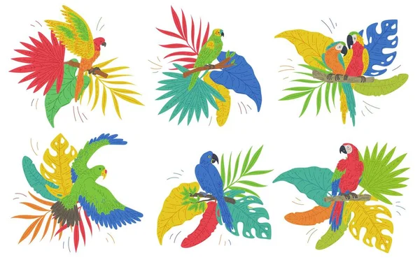 色彩艳丽的作品集鹦鹉鸟在热带树叶上 色彩艳丽 平面矢量图解孤立在白色背景 热带野生鸟类贴纸 — 图库矢量图片