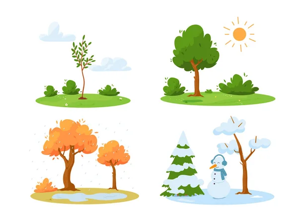 Landscape scenery with trees in four seasons of year - spring, summer, autumn, winter, flat vector illustrations collection isolated on white background.