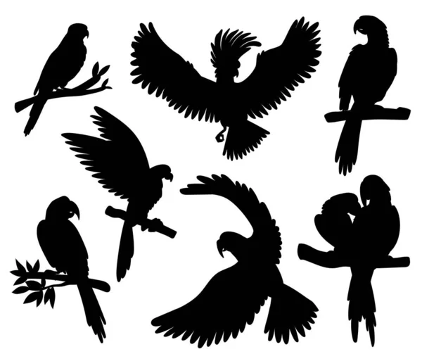Conjunto Siluetas Contorno Negro Aves Tropicales Loros Ilustración Vectorial Aislada — Vector de stock