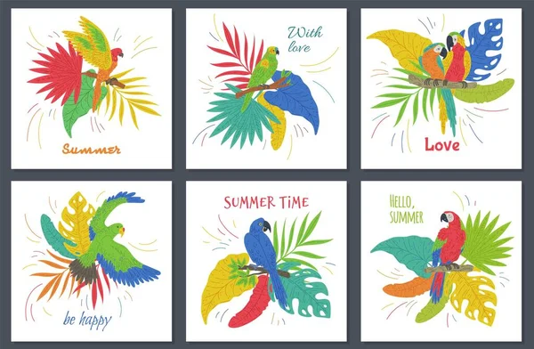 Sommer Banner Und Karten Bündeln Mit Bunten Tropischen Vögeln Und — Stockvektor