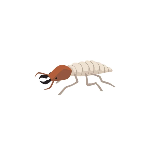 Kakkerlak Ongedierte Insect Pictogram Symbool Platte Vector Illustratie Geïsoleerd Witte — Stockvector