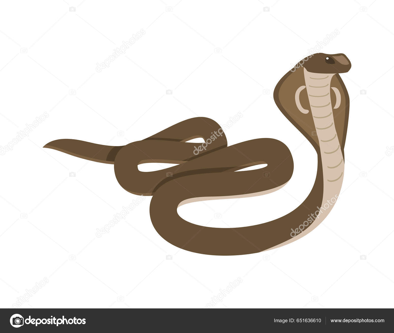 Индийская Кобра Плоская Векторная Иллюстрация Белом Фоне Ядовитая.