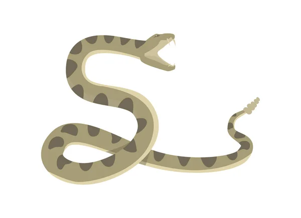 菱形背响尾蛇准备攻击扁平的风格 矢量插图孤立在白色背景上 尖牙张嘴 装饰设计元素 — 图库矢量图片