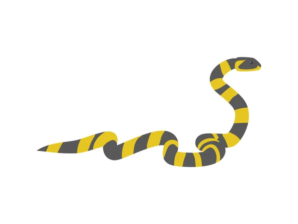 Cobra Krait Bandada Ilustração Vetorial Plana Isolada Fundo Branco Réptil — Vetor de Stock