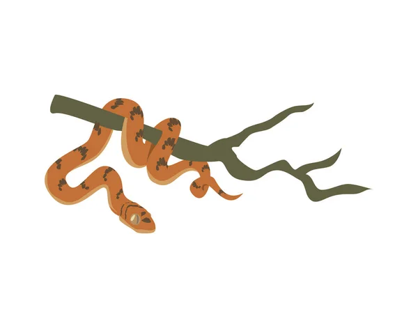 Serpent Boa Suspendu Une Branche Arbre Illustration Vectorielle Plate Isolée — Image vectorielle