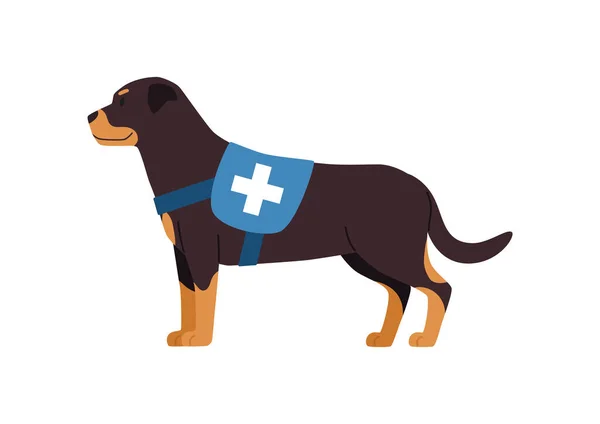 白の背景に隔離されたクロス フラットベクトルイラストでベストで救助と緊急犬 介助犬 介助犬として働くロトウィラー — ストックベクタ
