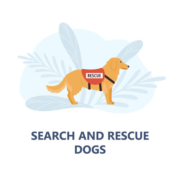 Search and rescue dogs in service of man, helping in medicine and saving lives, flat vector illustration isolated on white background. Banner with search dog.