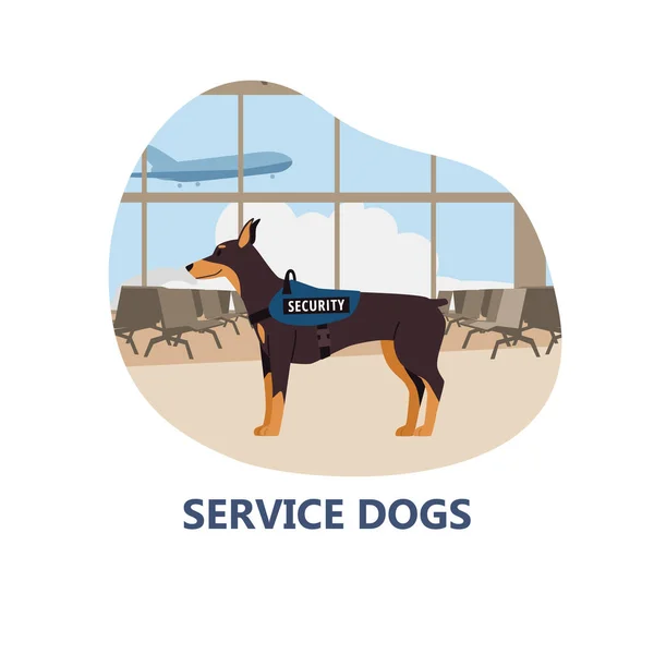 用于安全和警察服务的服务犬横幅或海报模板 白色背景上孤立的平面矢量插图 搜寻或猎狗须犬 — 图库矢量图片