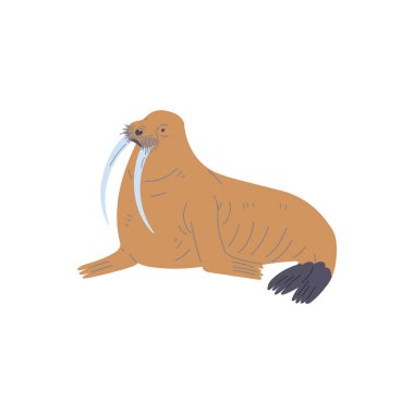 Kahverengi deniz aygırı yassı hayvan tarzı. Beyaz arka planda izole edilmiş vektör çizimi. Uzun dişli kutup hayvanı, dekoratif tasarım elementi, vahşi yaşam