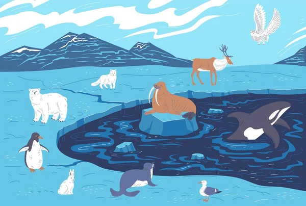 Diverse Arctische Dieren Gletsjers Cartoon Platte Vector Illustratie Wilde Dieren — Stockvector