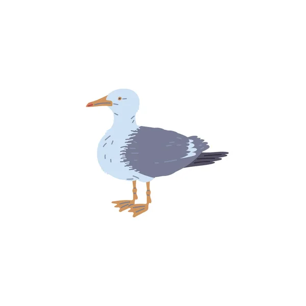 Common Seagull European Herring Gull Standing Sea Bird Flat Cartoon — Stock Vector