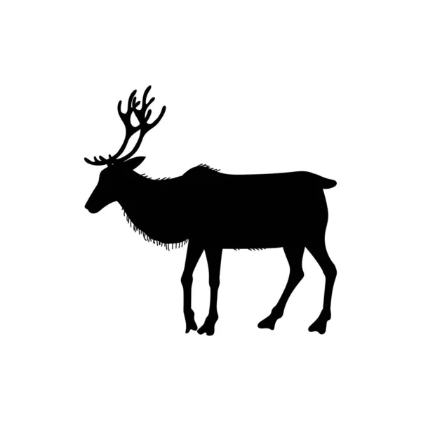 有分枝鹿角矢量的森林鹿的轮廓 在白色背景上孤立的黑色轮廓矢量 野生欧洲豆或北极熊的外形 — 图库矢量图片