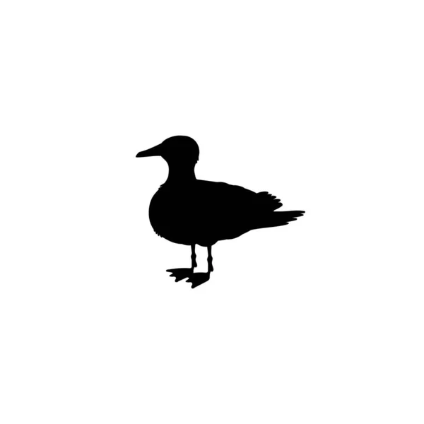 Standing Seagull Black Silhouette Monochrome Vector Illustration Isolated White Background — Stock Vector