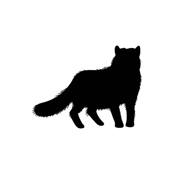 北极狐黑色轮廓 平面矢量图形孤立在白色背景 野生动物的象征 儿童教育概念 北极狐画 北极动物 — 图库矢量图片