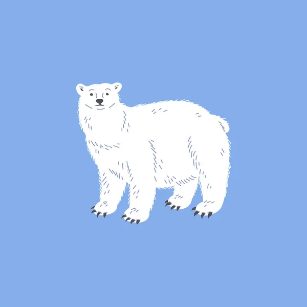 Standing White Polar Bear Flat Style Vector Illustration Isolated Blue — Stock Vector