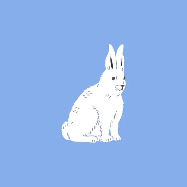 Vit Arktisk Hare Tecknad Platt Vektor Illustration Isolerad Blå Bakgrund — Stock vektor