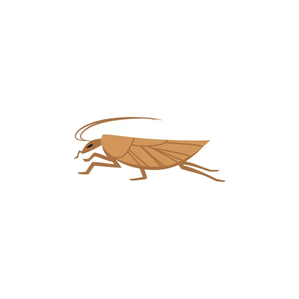 Brown Cockroach Pantry Moth Flat Vector Illustration Isolated White Background — Stock Vector