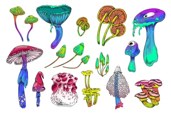 色彩艳丽的魔菇奇幻植物 色彩艳丽的迷幻色彩 手绘向量图以白色背景隔离 一套可以想象的神奇蘑菇 — 图库矢量图片
