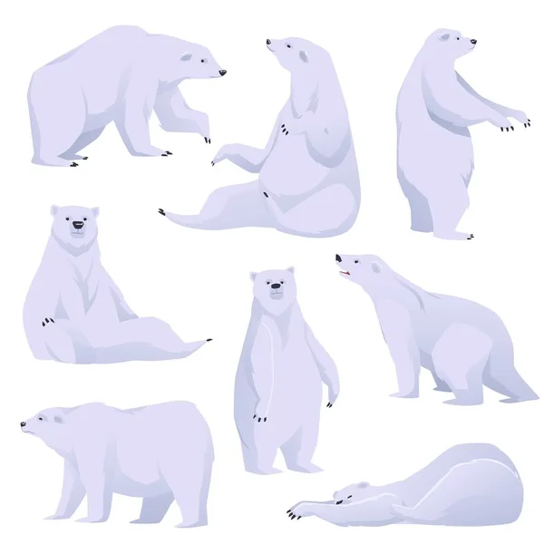 Eisbär Verschiedenen Posen Von Nördlichen Polartieren Zeichen Gesetzt Flache Vektorillustration — Stockvektor