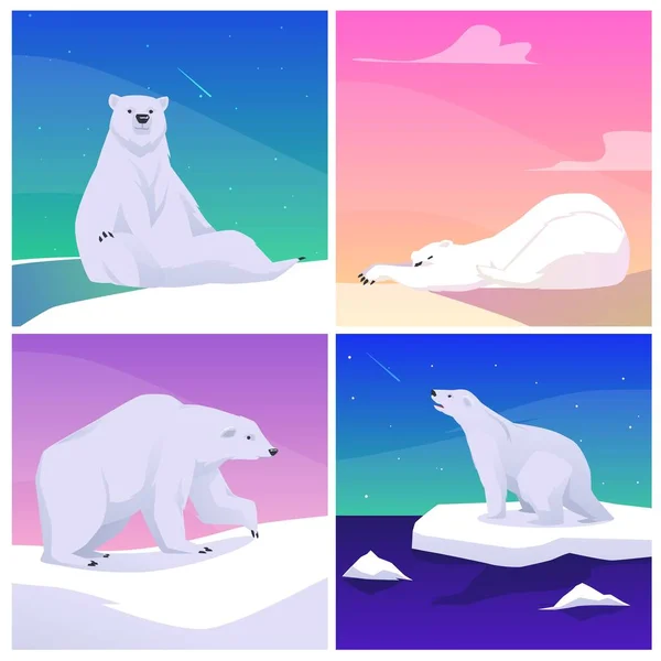 一组不同姿态的北极熊的场景是扁平的 在白色背景上孤立的矢量图解 坠落的星星 走着的熊 — 图库矢量图片