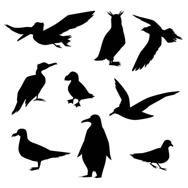 Zeevogels Silhouetten Vlakke Vectorillustratie Geïsoleerd Witte Achtergrond Zwarte Pictogrammen Set — Stockvector