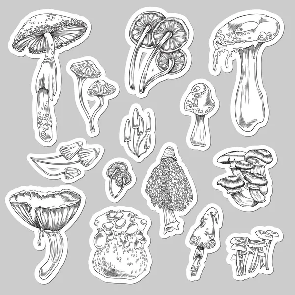 迷幻蘑菇集 草图矢量图解分离的灰色背景 手绘单色魔法蘑菇纹身贴纸系列 — 图库矢量图片
