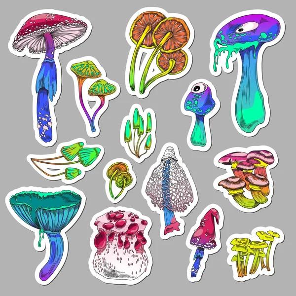 Set Colorful Psychedelic Mushrooms Hand Drawn Sketch Vector Illustration Isolated — Stock Vector