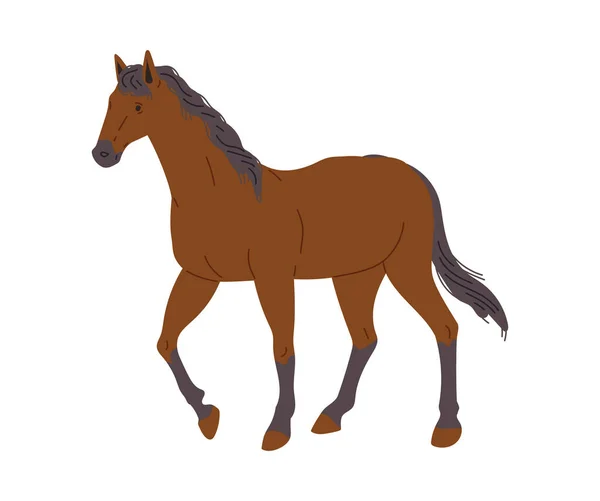 Piękny Koń Stojący Płaski Wektor Ilustracji Izolowane Białym Tle Rysunek — Wektor stockowy