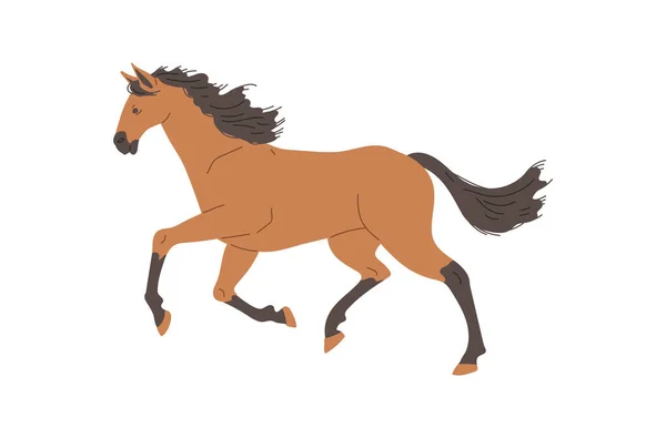 Häst Racer Galopperande Profil Platt Vektor Illustration Isolerad Vit Bakgrund — Stock vektor