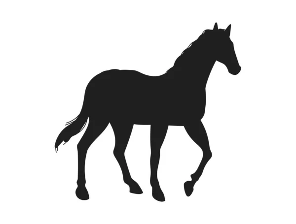 Черный Силуэт Конского Животного Плоская Векторная Иллюстрация Белом Фоне Жеребец — стоковый вектор
