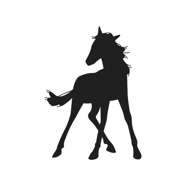 Little Horse Foal Black Silhouette Vector Illustration Isolated White Background — Stock Vector