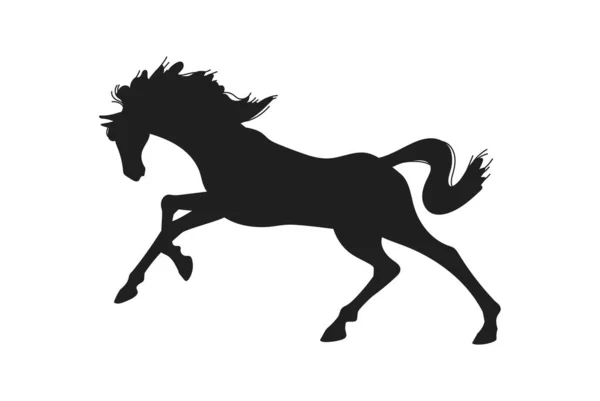 美丽的马奔跑 黑色的轮廓矢量与白色背景隔离 优雅的种马赛跑的图标 动物绘图 — 图库矢量图片