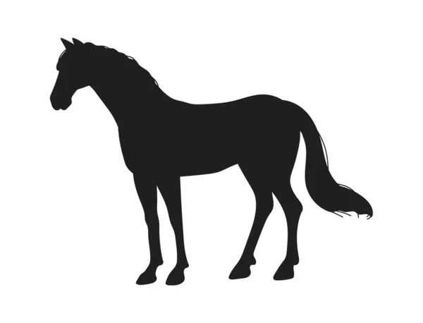Black Silhouette Standing Horse Flat Vector Illustration Isolated White Background — Stock Vector