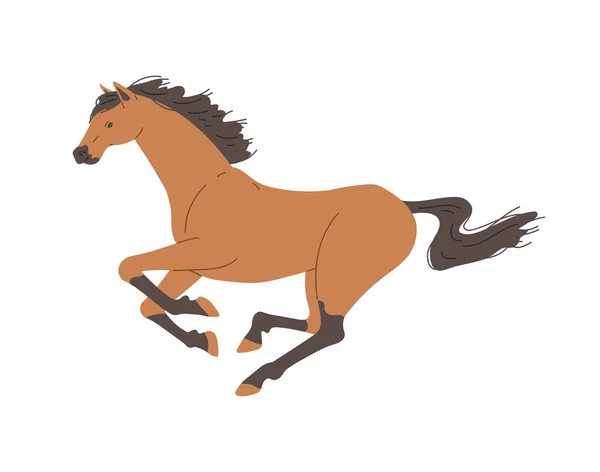 Corrida Cavalo Vista Perfil Ilustração Vetorial Plana Isolado Fundo Branco — Vetor de Stock